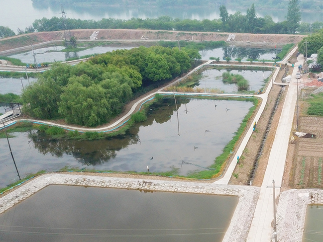 小龙虾养殖基地