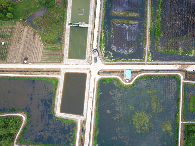 小龙虾养殖基地